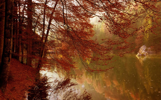629803 (a): :2560x1600
